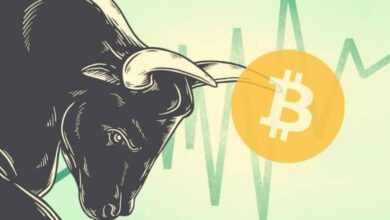 Here Are the Top 10 Reasons Why a Cryptocurrency Bull Run Is Coming Soon