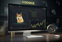 Dogecoin Price Gains 12% in 24 Hours: Here's What To Know