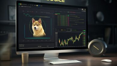 Dogecoin Price Gains 12% in 24 Hours: Here's What To Know