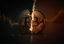 Would Halving the Price of Bitcoin Be the Key to Future Price Increases?