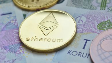 Ethereum Whales Increase due to 30% Price Drop