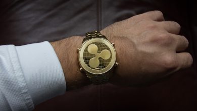 Ripple’s Early Investor Draws Strategy to Acquire Highly Lucrative Cryptocurrencies