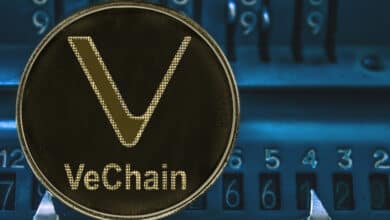 The Best 5 Crypto Exchanges for Buying VeChain (VET)