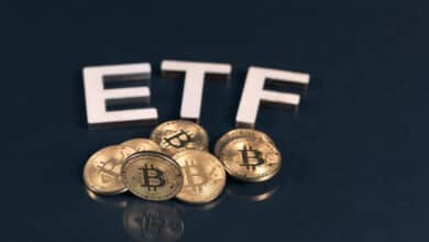 Inflows for Bitcoin ETFs Reach $20 Billion in Just 10 Months