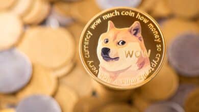 Whale Activity Spurs Dogecoin's 10% Price Rally with 600 Million DOGE Transferred