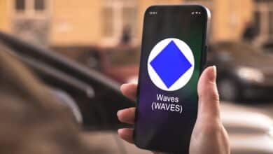 The Best 5 Waves (WAVES) Wallets to Use in 2024
