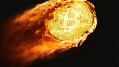 Bitcoin Price Reacts to Halving Day Expectations