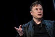 Republican Party Secures Majority in U.S. Congress, Says Elon Musk