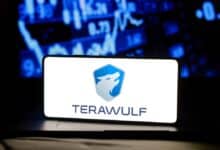 TeraWulf Chief Consider Runes Offering Significant Lifeline for Bitcoin Miners 