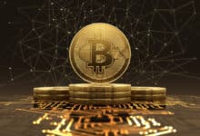 Bitcoin Wallets Surge: Investors Drive Up BTC's Price