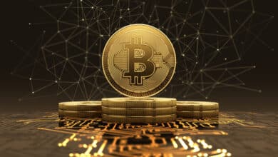 Bitcoin Wallets Surge: Investors Drive Up BTC's Price